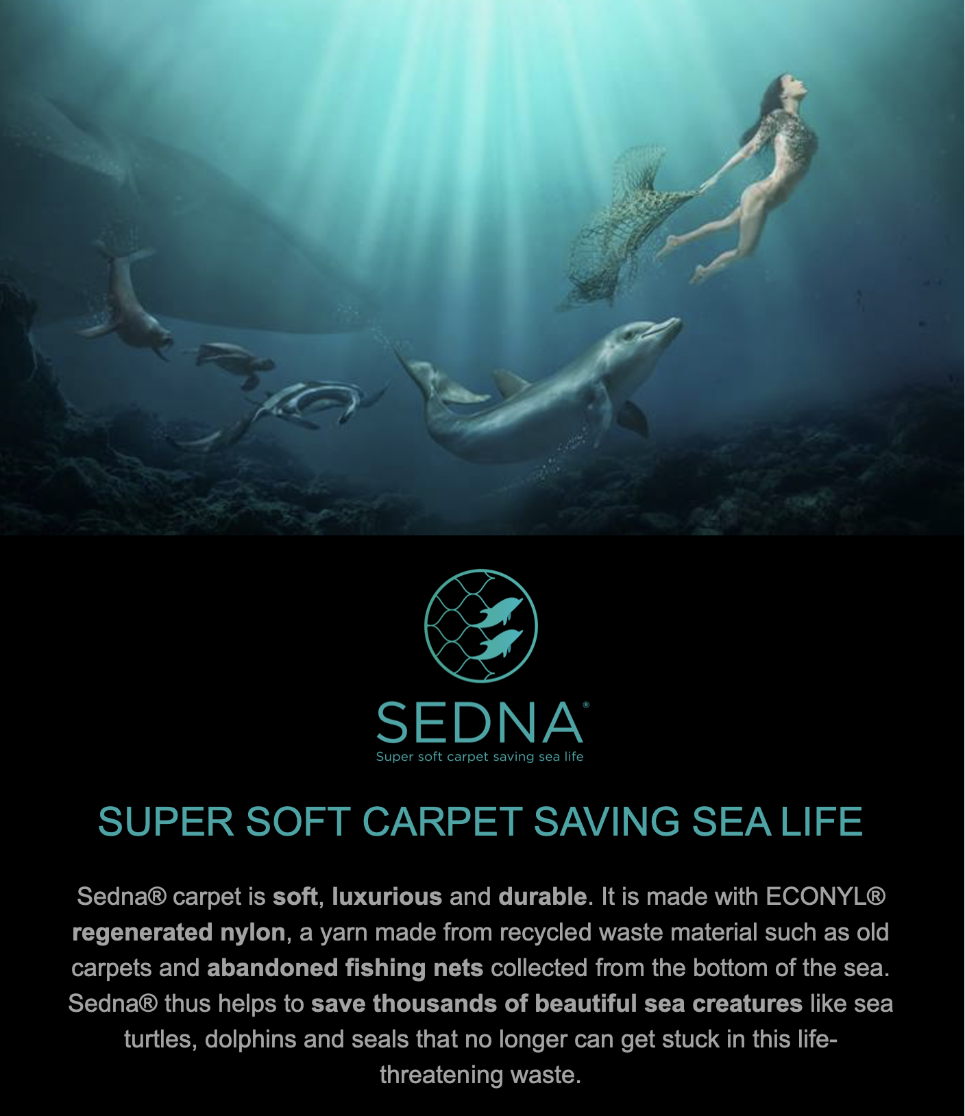Sedna